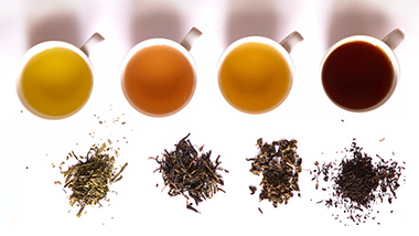 News-Tea-sommelier-380