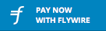 Flywire Pay Now button